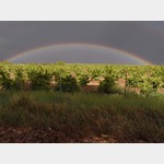 Regenbogen_vor_Almodovar